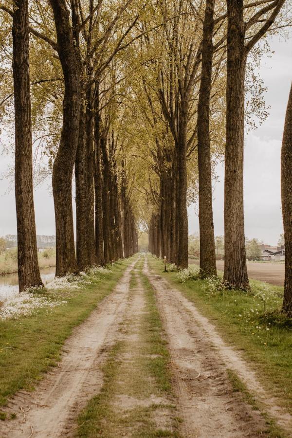 Huisje Nummer Tien Сент-Лауренс Экстерьер фото